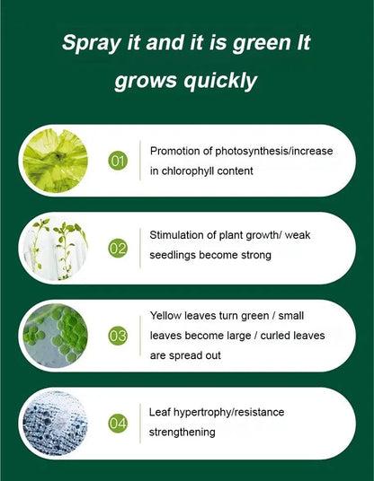 Liquid Plant Growth Booster for Stronger Roots & More Blooms – Indoor Outdoor Fertilizer for Houseplants Vegetables Herbs Succulents Fruit T