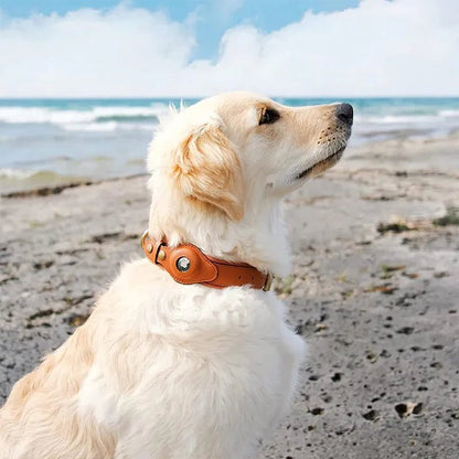 GPS Tracker Dog Collar with Adjustable Microfiber Strap – Waterproof Pet Safety Collar for Daily Walks and Outdoor Adventures