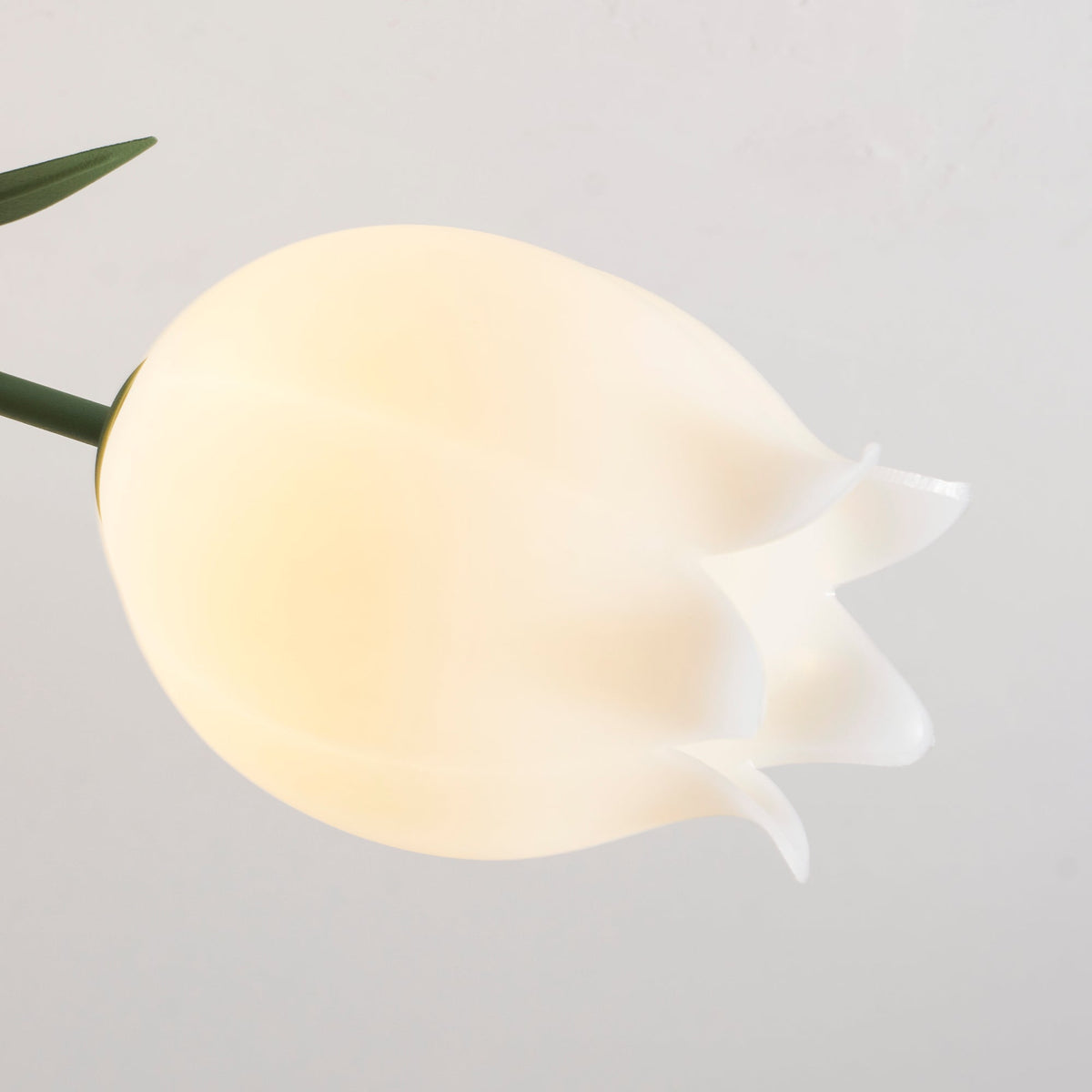 Flush Mount Floral Ceiling Light Fixture with Multi-Head LED Design for Bedroom, Living Room & Bathroom | Green White Acrylic Shades | Dimma