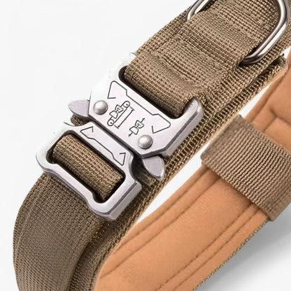 Padded Tactical Dog Collar with Handle – Adjustable Heavy-Duty Nylon for Training, Walks & Active Dogs
