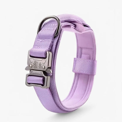 Padded Tactical Dog Collar with Handle – Adjustable Heavy-Duty Nylon for Training, Walks & Active Dogs
