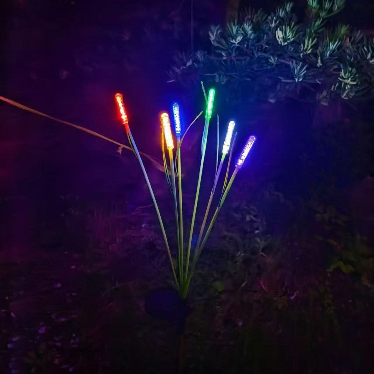 REEDLIVA – Solar Reed Garden Lights for Outdoor Landscape Decor