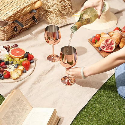 Ortekor Elegant Stainless Steel Wine Glasses Set of 6 with Enhanced Chilling | Durable Design for Timeless Enjoyment