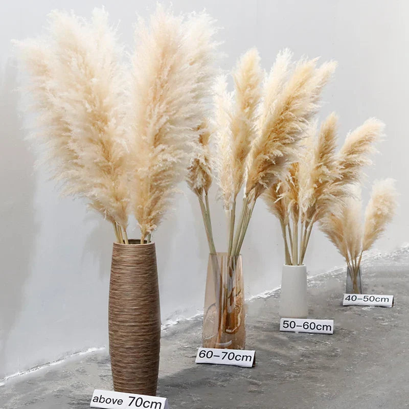 Fluffy Natural Pampas Grass Stems for Vase Displays | 16-30 Inch Dried Floral Accents for Living Room Shelf Styling Event Centerpieces Boho