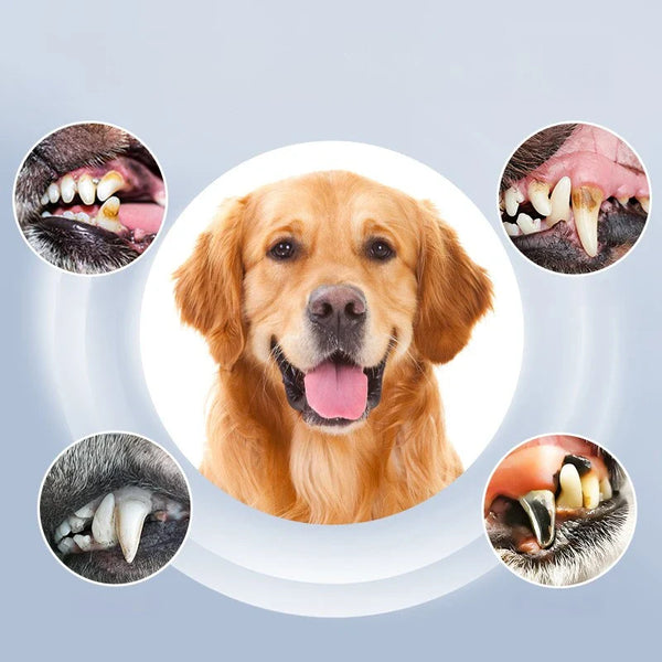 Ortekor PetCare | Dog Dental Cleaning Device with 5 Adjustable Levels | Effective Pet Dental Care for Healthier Smiles