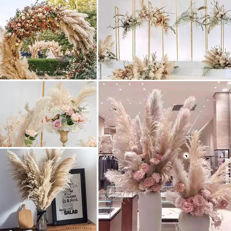 Fluffy Natural Pampas Grass Stems for Vase Displays | 16-30 Inch Dried Floral Accents for Living Room Shelf Styling Event Centerpieces Boho
