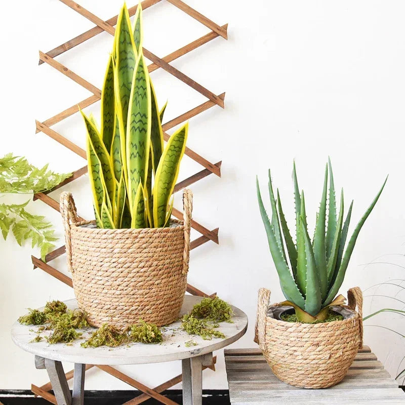 Handwoven Seagrass Basket with Handles for Indoor Plants Outdoor Pots Storage Organizer Natural Fiber Boho Decor Rustic Farmhouse