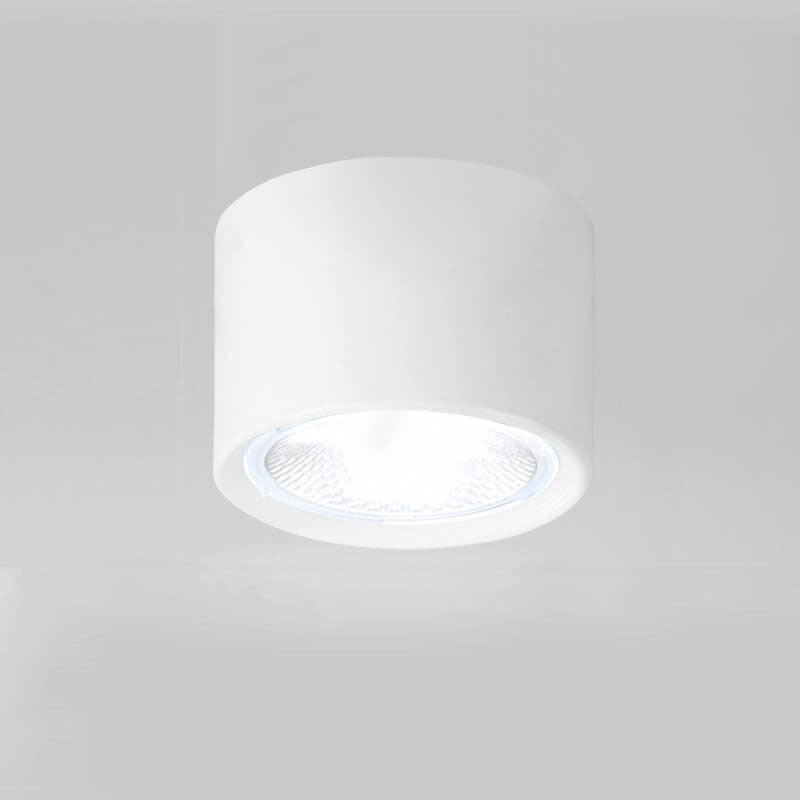 Adjustable Cylinder Spotlight – Surface Mount LED Ceiling Light – Directional Accent Fixture for Living Room, Hallway & Kitchen – Modern