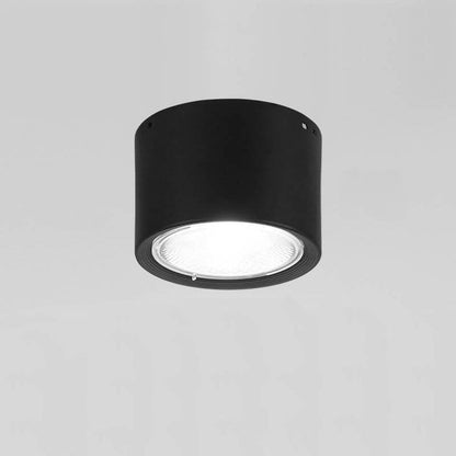 Adjustable Cylinder Spotlight – Surface Mount LED Ceiling Light – Directional Accent Fixture for Living Room, Hallway & Kitchen – Modern