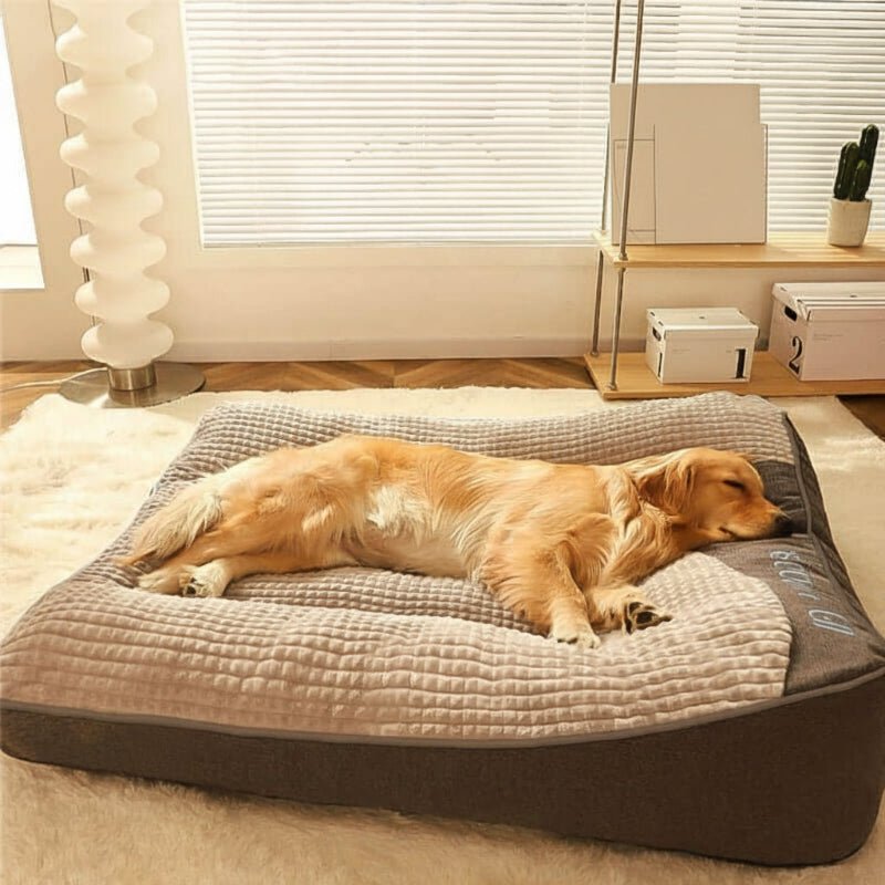 Elevated Plush Pet Lounger for Large Dogs 47 in × 37 in Removable Machine-Washable Cover Supportive Cushion Mat for Golden Retrievers Labrad