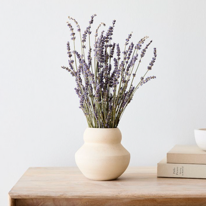 Dried Lavender Bundles for Home Decor & Aromatherapy | Fragrant Floral Stems for Sachets, Potpourri, Wedding Arrangements | Rustic Farmhouse