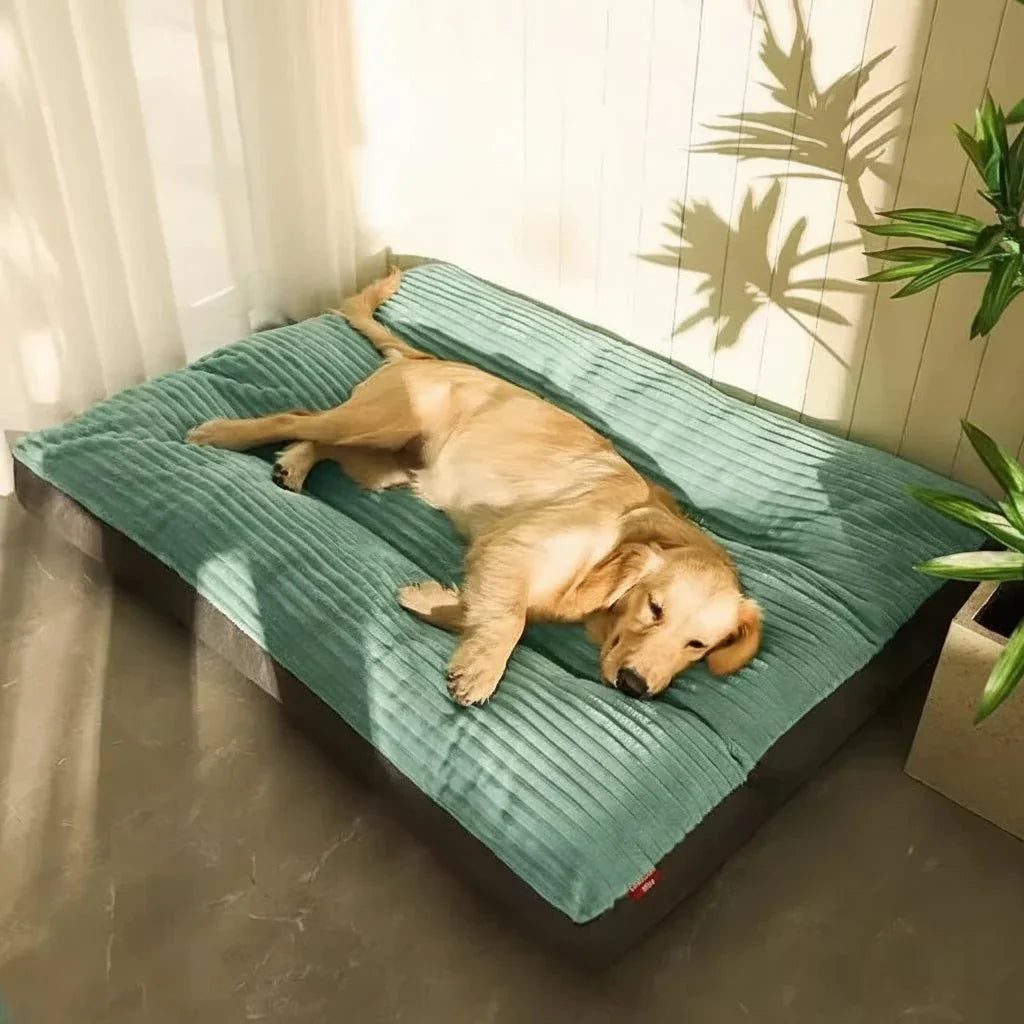 Supportive Memory Foam Pet Cushion for Dogs & Puppies - Plush Indoor Sleeping Mat with Orthopedic Support - Washable Soft Bedding for Senior