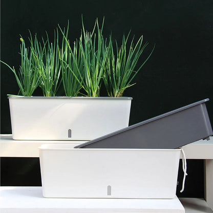 Rectangular Self-Watering Planter with Water Indicator 17 in Long for Herbs Flowers Succulents Kitchen Windowsill Balcony Indoor Outdoor