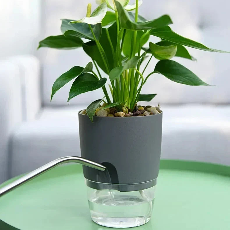 Indoor Plant Pot with Built-In Water Reservoir 9.3 Inch Tall for Succulents Herbs Houseplants Home Office Desktop Automatic Moisture Control