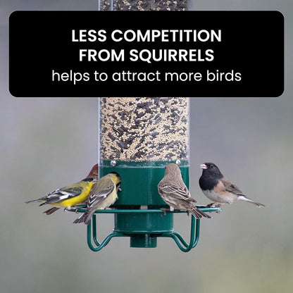 Outdoor Hanging Bird Feeder with Weight-Activated Critter Protection for Backyard Songbirds | Multi-Port Metal Seed Dispenser for Cardinals