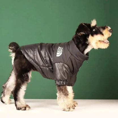 Insulated Windproof Dog Winter Coat with Soft Fleece Lining for Cold Weather Protection, Outdoor Walks & Active Play