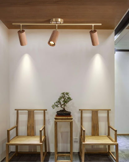 Pivoting Rail Ceiling Light Fixture with Walnut & Brass in Gold — Directional Spotlight Bar for Kitchens, Dens & Entryways — E26 Socket Spot