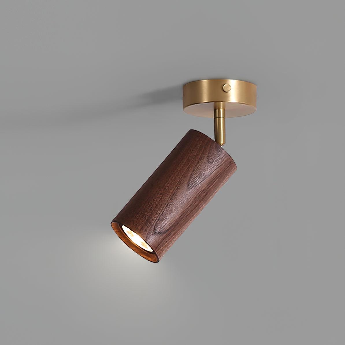 Pivoting Rail Ceiling Light Fixture with Walnut & Brass in Gold — Directional Spotlight Bar for Kitchens, Dens & Entryways — E26 Socket Spot