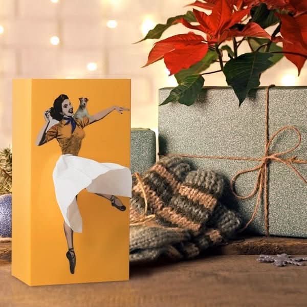 TissuDance Tissue Box Cover - Playful Plastic Design for Home Decor