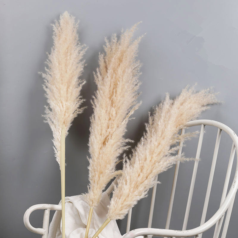 Fluffy Natural Pampas Grass Stems for Vase Displays | 16-30 Inch Dried Floral Accents for Living Room Shelf Styling Event Centerpieces Boho