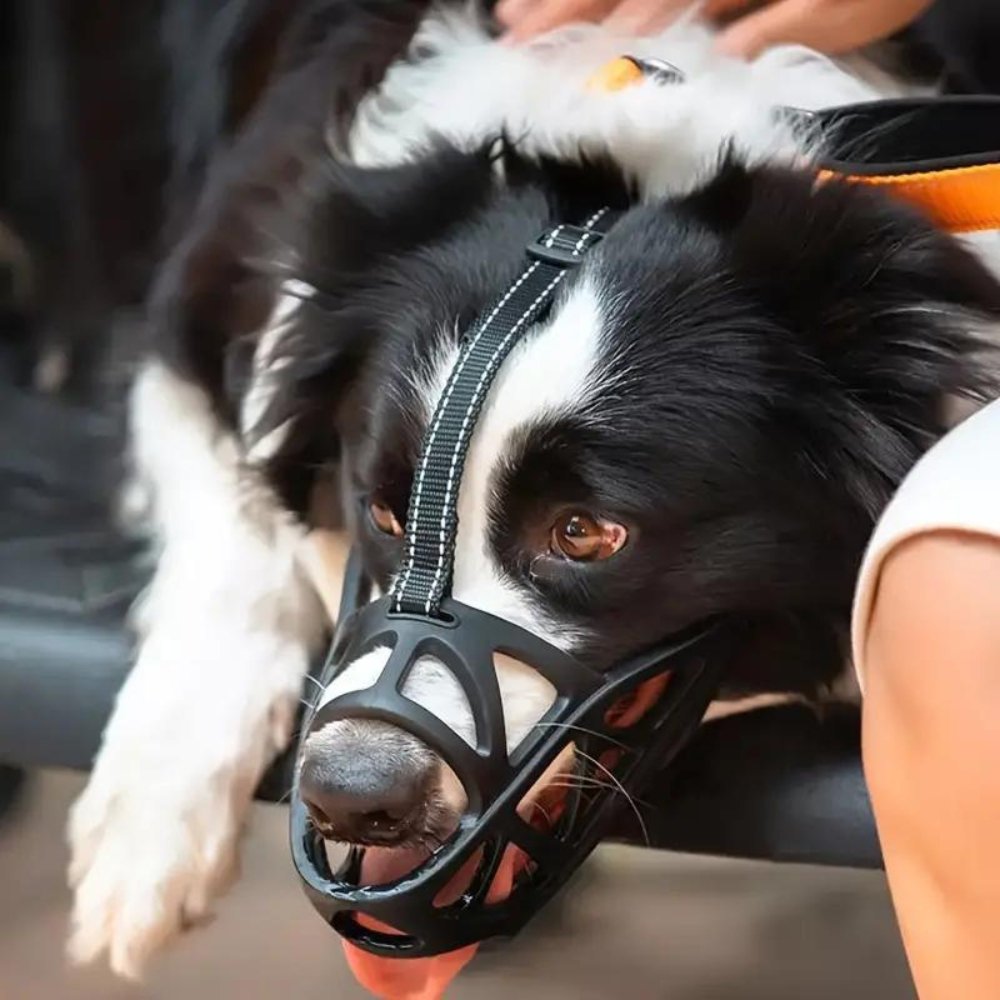 Breathable Safety Muzzle for Dogs – Adjustable Straps, Lightweight Mesh, Panting-Friendly Design for Training & Outdoor Walks