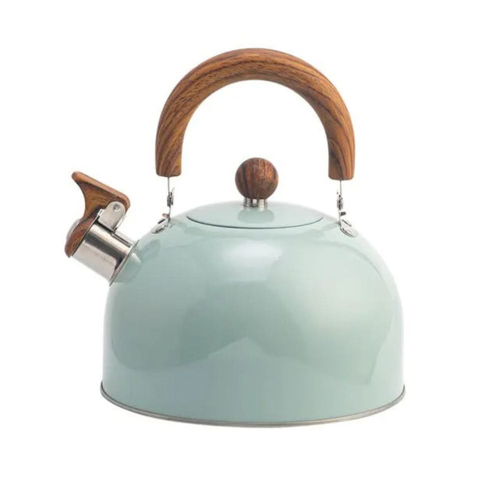 Stainless Steel Stovetop Tea Kettle with Whistle 3 Quart Capacity Fast Boil Heat Safe Handle for Gas Induction Electric Stove Kitchen Hot Wa