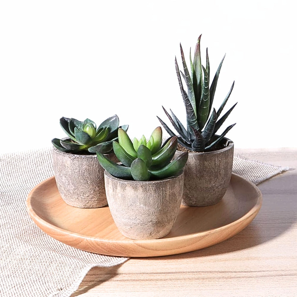 Verdea Artificial Succulent Plant - Realistic Faux Greenery, Rustic Pot