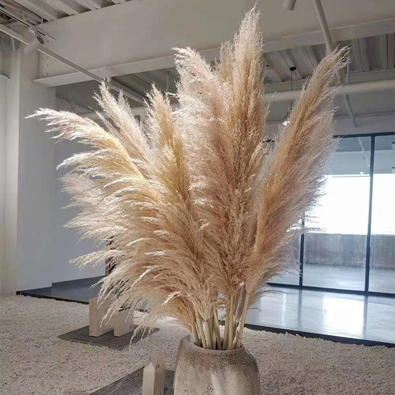 Faux Pampas Grass Stems Natural Beige 10-Pack Boho Decor for Living Room Bedroom Wedding Events Fluffy Reed Bundle Centerpiece
