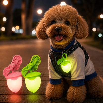 Ortekor AcornGlow USB-C Rechargeable Pet Safety Light for Night Walks - Clip-On Acorn LED Charm for Collars, Harnesses & Leashes to Help Dogs Stay Visible After Dark