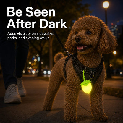 Ortekor AcornGlow USB-C Rechargeable Pet Safety Light for Night Walks - Clip-On Acorn LED Charm for Collars, Harnesses & Leashes to Help Dogs Stay Visible After Dark