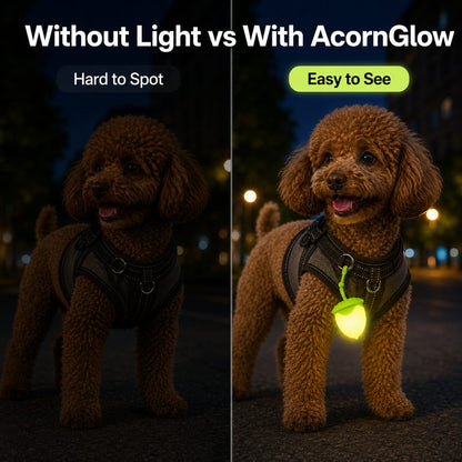 Ortekor AcornGlow USB-C Rechargeable Pet Safety Light for Night Walks - Clip-On Acorn LED Charm for Collars, Harnesses & Leashes to Help Dogs Stay Visible After Dark