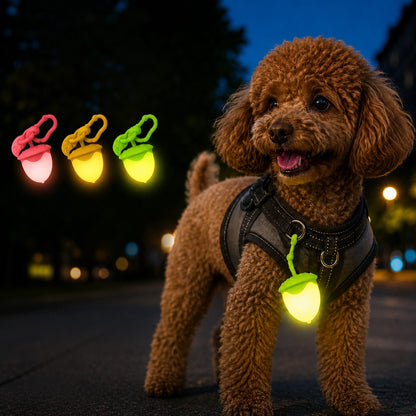 Ortekor AcornGlow USB-C Rechargeable Pet Safety Light for Night Walks - Clip-On Acorn LED Charm for Collars, Harnesses & Leashes to Help Dogs Stay Visible After Dark