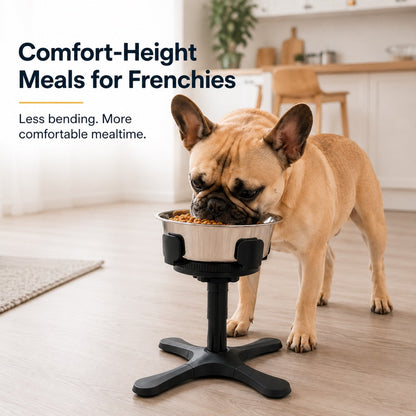 Ortekor French Bulldog Adjustable Elevated Tilted Dog Bowl for Kitchen Feeding Corners - 3-Height Stand with Slow Feeder Insert to Reduce Neck Bending & Mess
