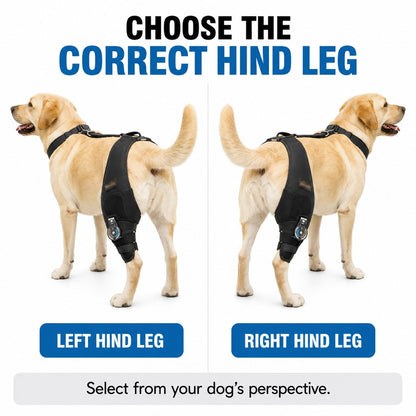Ortekor Adjustable Hinged Dog Knee Brace for Daily Walks - Rear Leg Support for Unsteady Steps