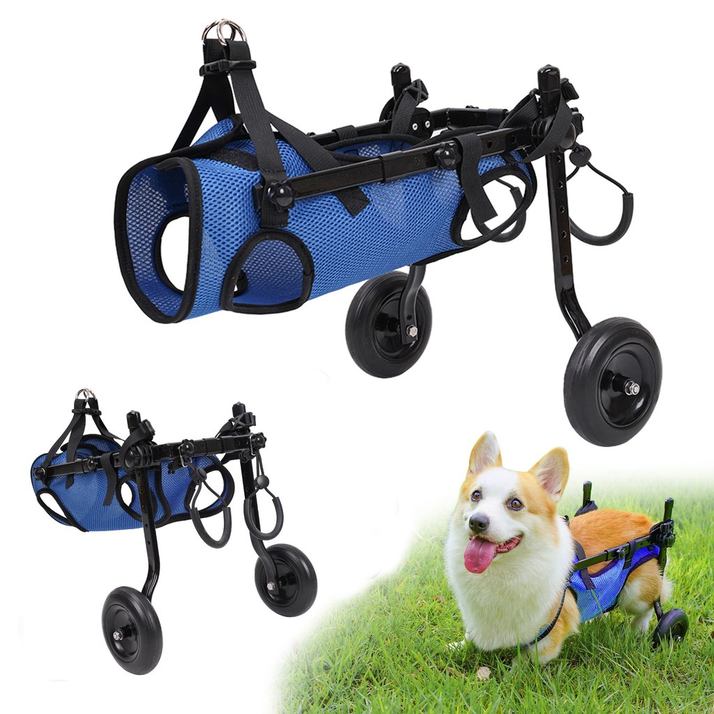 Ortekor Adjustable Rear Leg Dog Wheelchair for Daily Walks - Mobility Support Cart for Small Dogs with Weak Back Legs