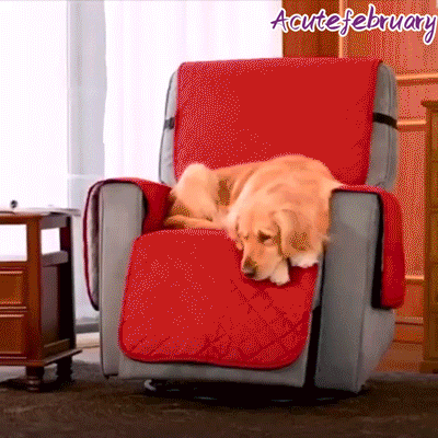 Ortekor Comfort Cover | Universal Recliner Chair Cover with Soft One-Piece Design | Protects from Stains and Pet Hair