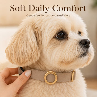 Ortekor AirTag-Compatible Pet Collar Holder for Cats & Small Dogs - No-Dangle Tracker Protection for Home, Walks & Everyday Pet Safety