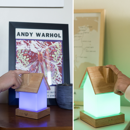 LuvLink Friendship Lamp | Long Distance Touch Lamp with Stylish Design & Color Syncing | Unique Gift for Connection