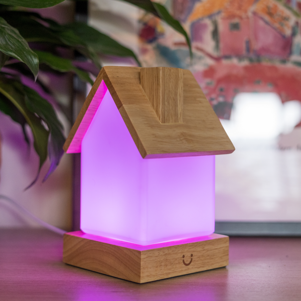 LuvLink Friendship Lamp | Long Distance Touch Lamp with Stylish Design & Color Syncing | Unique Gift for Connection