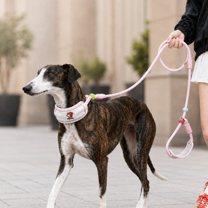 Ortekor Anti-Choke Dog Leash for Everyday Walks - Padded Neck Protection & Better Control for Pullers