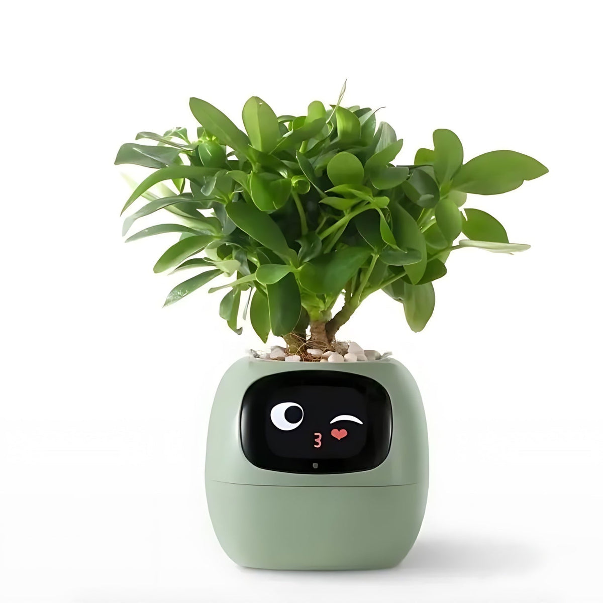 Self-Watering Smart Planter Pot with App Control & Emoji Display for Indoor Plants | Automatic Plant Care System with Water Level Alerts &