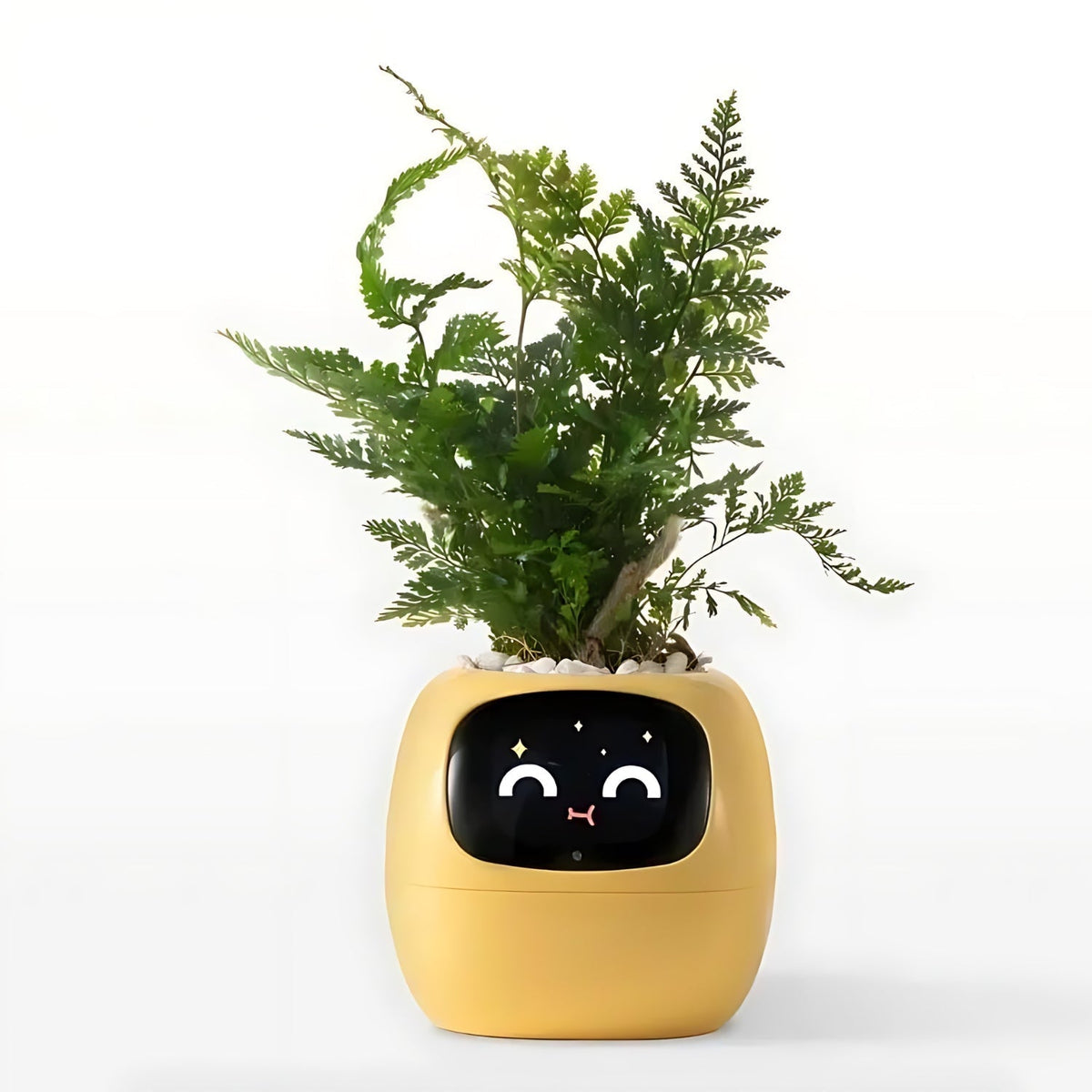 Self-Watering Smart Planter Pot with App Control & Emoji Display for Indoor Plants | Automatic Plant Care System with Water Level Alerts &