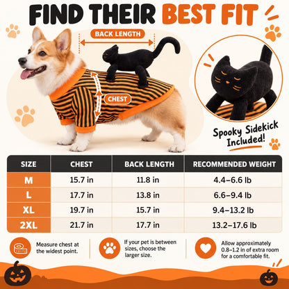 Ortekor Black Cat Rider Halloween Pet Costume - Funny 3D Dog & Cat Outfit for Trick-or-Treating, Parties & Photos with Easy-Movement Design