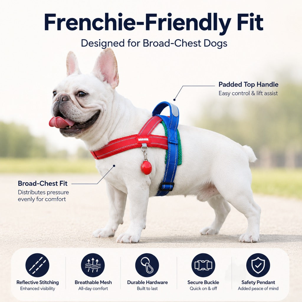 Ortekor No-Choke French Bulldog Harness & Leash Set for Daily Walks - Reflective, Easy-Control Fit for Broad-Chest Dogs