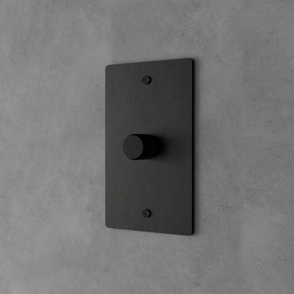 Rotary Light Dimmer Switch with Brass Knob for Stepless Brightness Adjustment in Living Room Bedroom Hallway Contemporary Wall-Mounted Panel