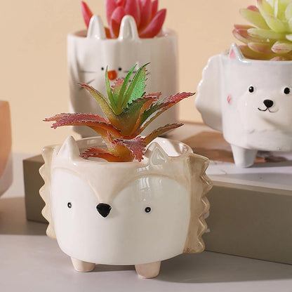Square Animal Ceramic Succulent Planters
