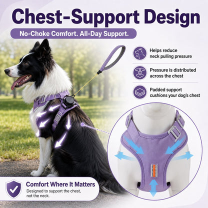 Ortekor 2-in-1 Retractable Dog Harness for Daily Walks - Built-In Leash Vest with Auto-Stop Control for Small & Medium Dogs