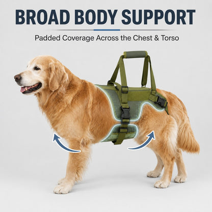 Ortekor Full-Body Dog Lift Support Harness for Stairs, Cars & Limited Mobility