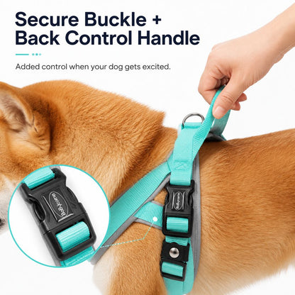Ortekor Quick-Fit Lightweight Dog Harness & Leash Set for Daily Walks - No-Choke Step-In Comfort with Secure Buckle & Back Control Handle