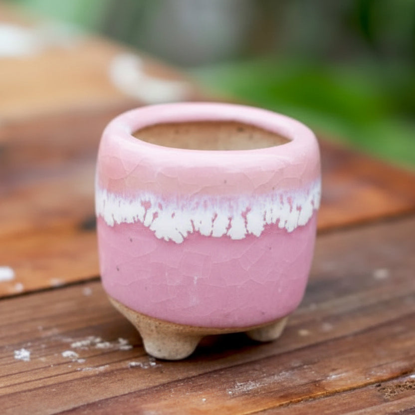MINICACTA – Mini Ceramic Succulent Pot Set